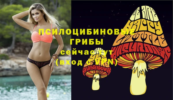 молекула духа Абинск